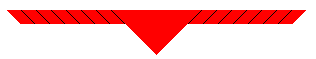 scout neck
