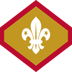 Chief Scout's Gold Award