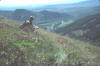 stirling camp 7
