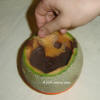 Melon and Chocolate