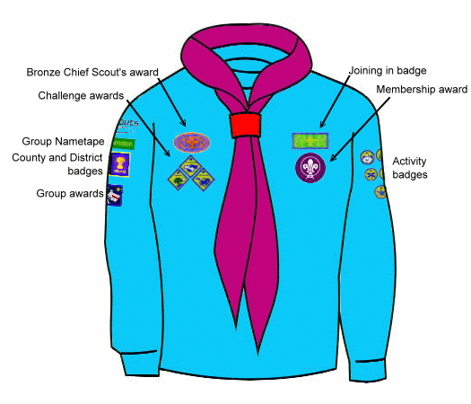 Beaver Scout